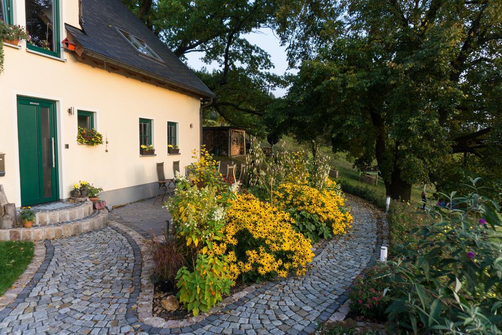 Ferienwohnung Laempelberg Klingenthal Exteriör bild