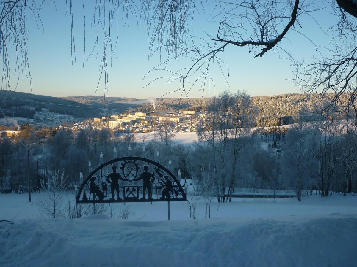 Ferienwohnung Laempelberg Klingenthal Exteriör bild